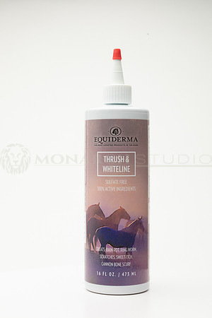 29-©MonarchStudio-SSS-2F9A9664
