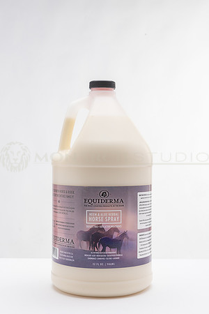 32-©MonarchStudio-SSS-2F9A9674