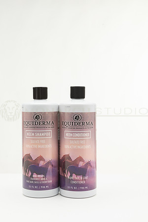 39-©MonarchStudio-SSS-2F9A9686