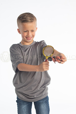 SSS_6590
