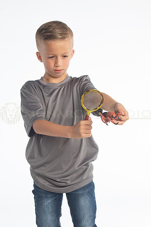 SSS_6591