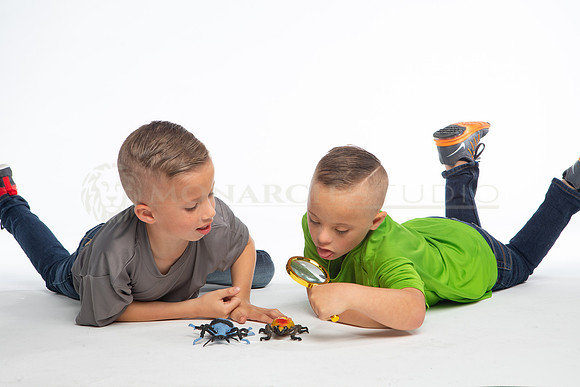 SSS_6641